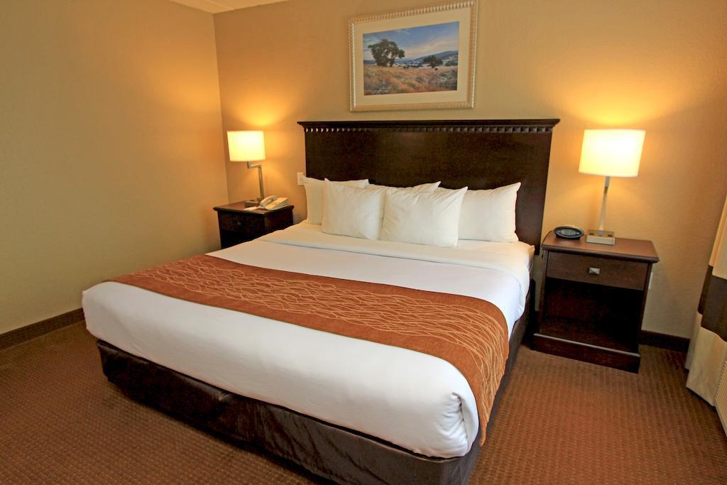 Comfort Suites Austin Airport Bagian luar foto